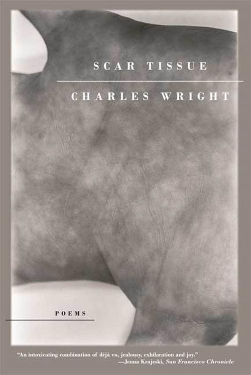 Cover of the book Scar Tissue by Charles Wright, Farrar, Straus and Giroux