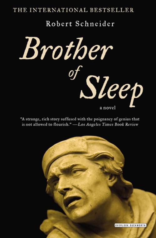 Cover of the book Brother of Sleep by Robert Schneider, ABRAMS (Ignition)
