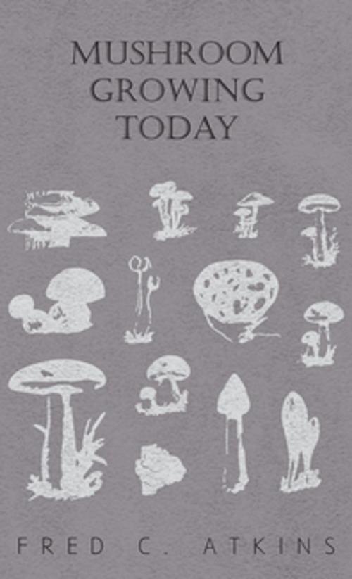 Cover of the book Mushroom Growing Today by Fred C. Atkins, W. C. Haycraft, Read Books Ltd.