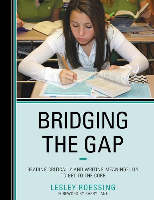 Cover of the book Bridging the Gap by Lesley Roessing, Rowman & Littlefield Publishers