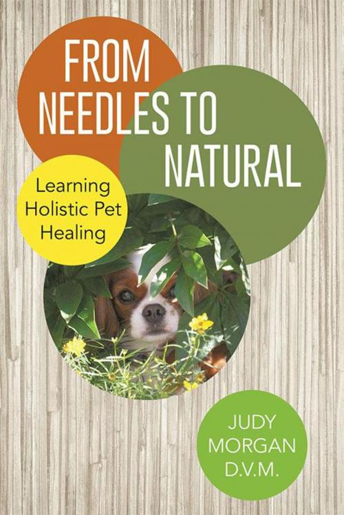 Cover of the book From Needles to Natural by Judy Morgan D.V.M., Archway Publishing