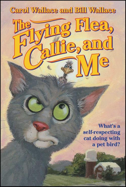Cover of the book The Flying Flea, Callie and Me by Bill Wallace, Carol Wallace, Aladdin