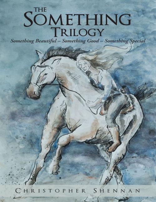 Cover of the book The Something Trilogy: Something Beautiful – Something Good – Something Special by Christopher Shennan, Lulu Publishing Services