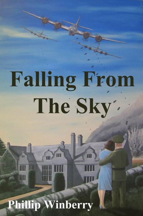 Cover of the book Falling From The Sky by Phillip Winberry, BookBaby