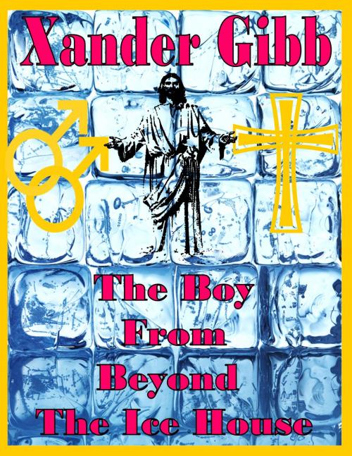 Cover of the book The Boy from beyond The Ice House by Xander Gibb, BookBaby
