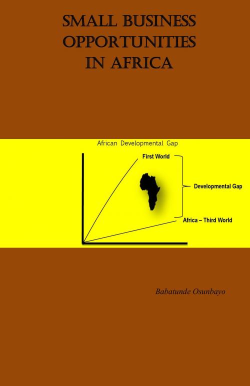 Cover of the book Small Business Opportunities in Africa by Babatunde Osunbayo, BookBaby
