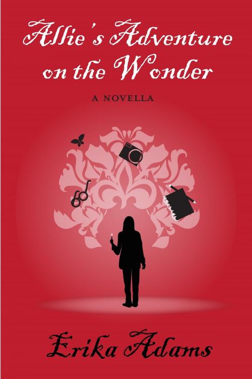 Cover of the book Allie's Adventure on the Wonder by Erika Adams, BookBaby