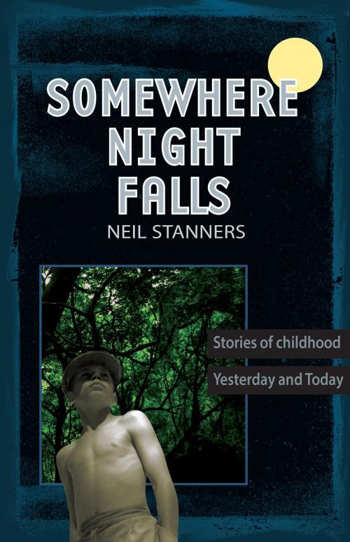 Cover of the book Somewhere Night Falls by Neil Stanners, BookBaby
