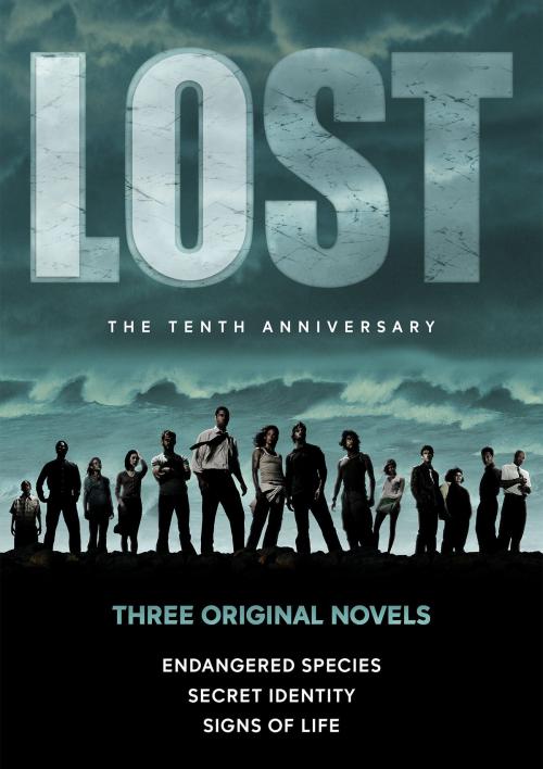 Cover of the book Lost: the Novels by Catherine Hapka, Frank Thompson, Disney Book Group