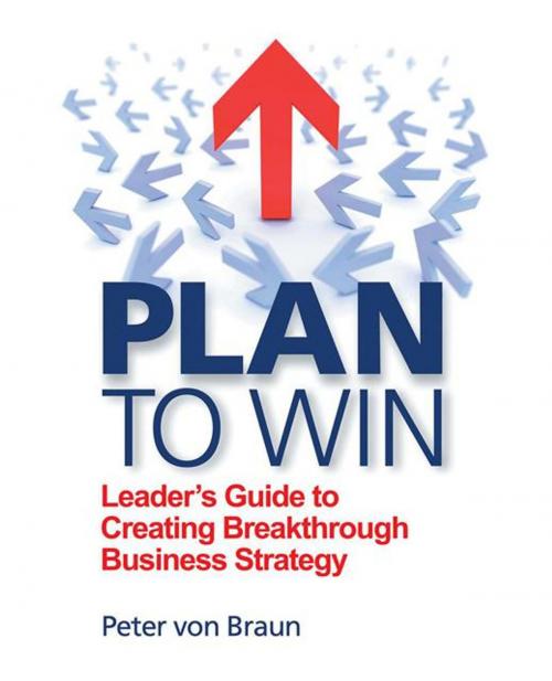 Cover of the book Plan to Win by Peter von Braun, Trafford Publishing