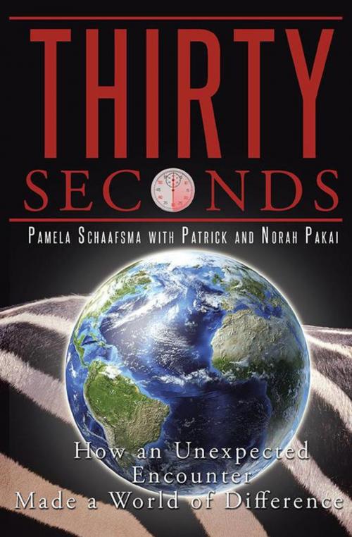 Cover of the book Thirty Seconds by Pamela Schaafsma, Norah Pakai, Patrick, WestBow Press
