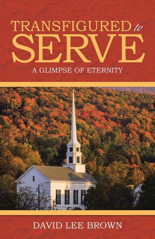 Cover of the book Transfigured to Serve by David Lee Brown, WestBow Press