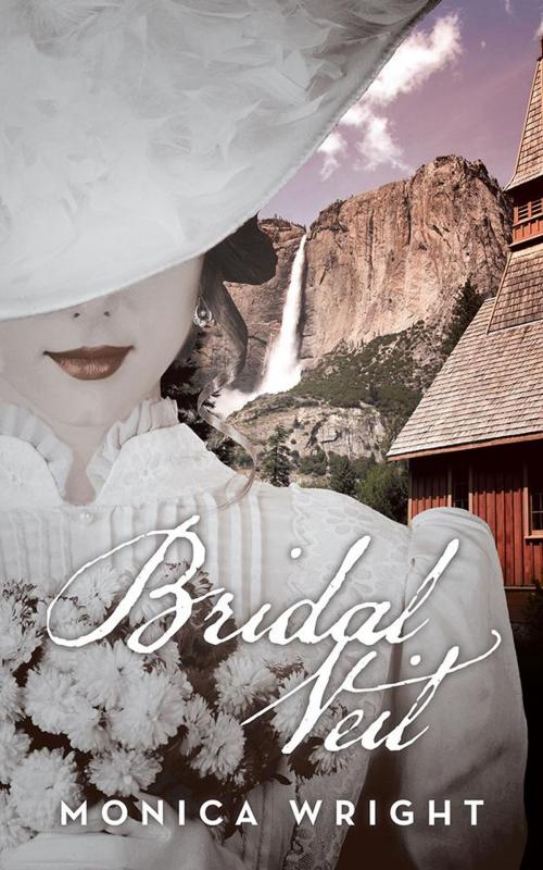 Cover of the book Bridal Veil by Monica Wright, iUniverse