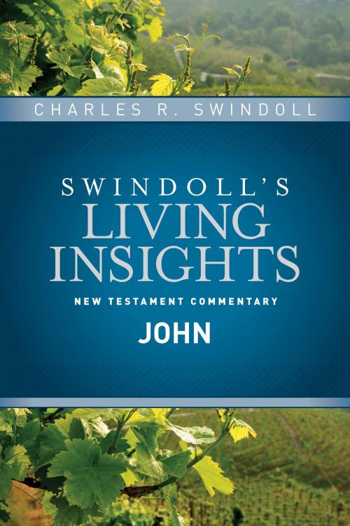 Cover of the book Insights on John by Charles R. Swindoll, Tyndale House Publishers, Inc.