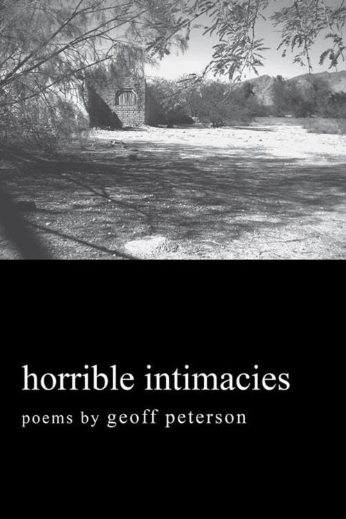 Cover of the book Horrible Intimacies by Geoff Peterson, AuthorHouse