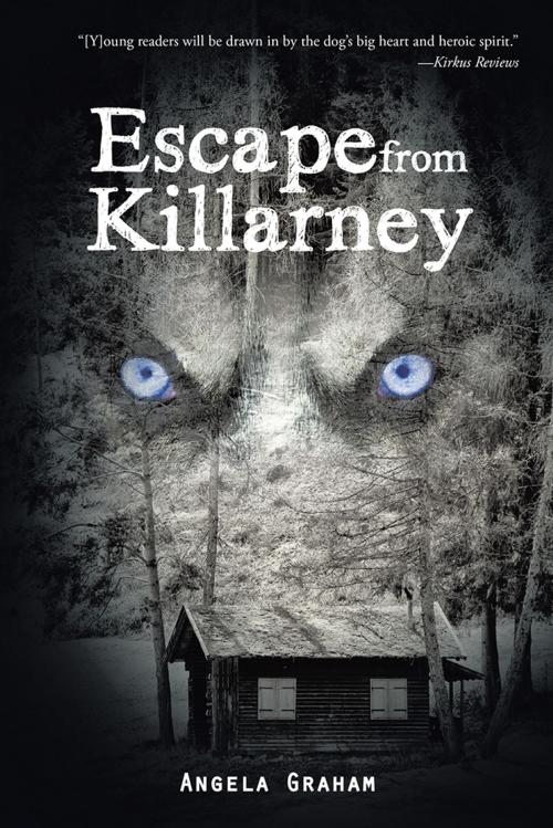 Cover of the book Escape from Killarney by Angela Graham, AuthorHouse