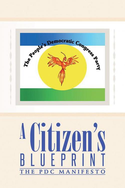 Cover of the book A Citizen’S Blueprint by Emgee, AuthorHouse UK