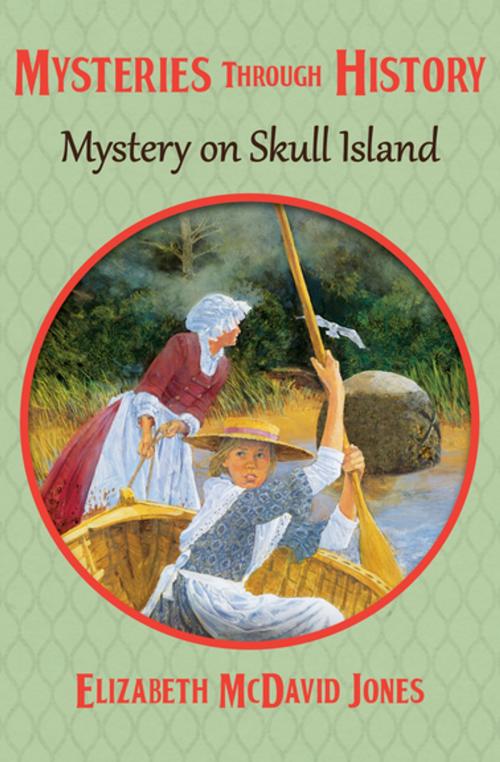 Cover of the book Mystery on Skull Island by Elizabeth McDavid Jones, Open Road Media