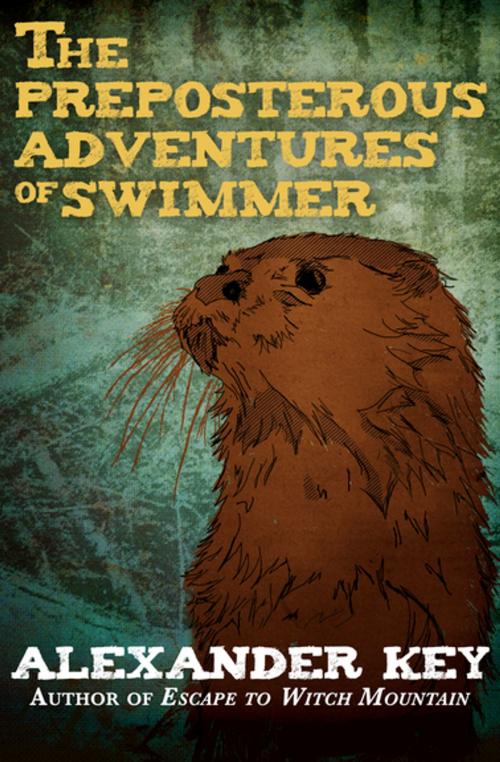 Cover of the book The Preposterous Adventures of Swimmer by Alexander Key, Open Road Media