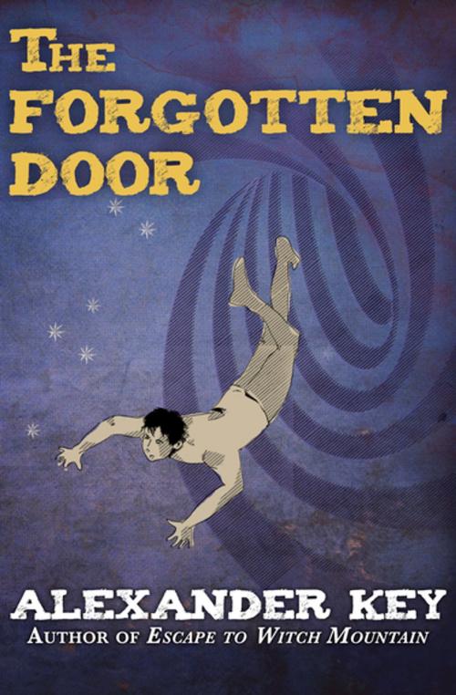 Cover of the book The Forgotten Door by Alexander Key, Open Road Media