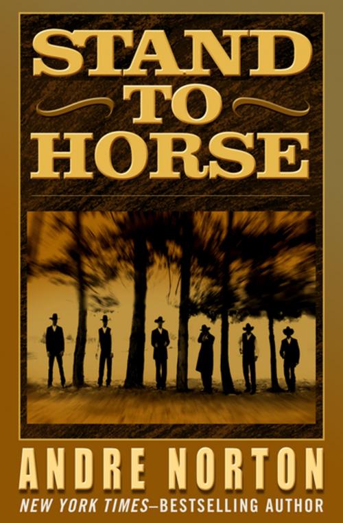 Cover of the book Stand to Horse by Andre Norton, Open Road Media
