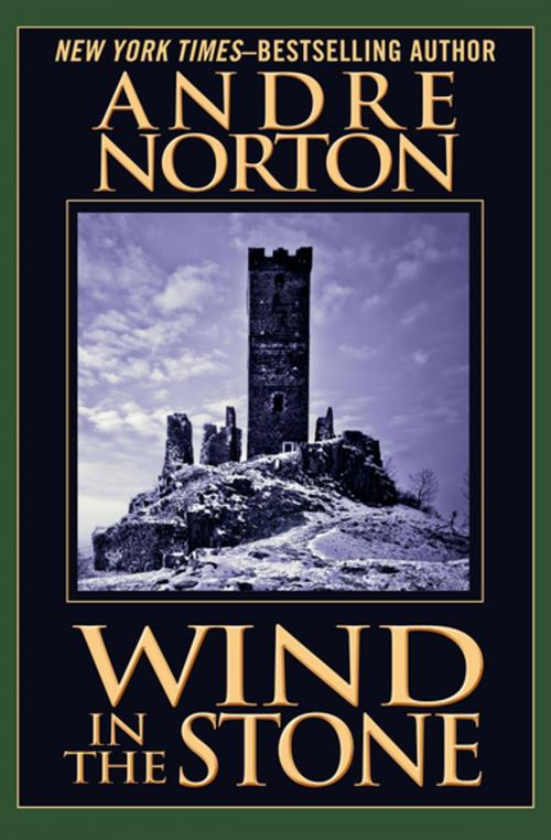 Cover of the book Wind in the Stone by Andre Norton, Open Road Media