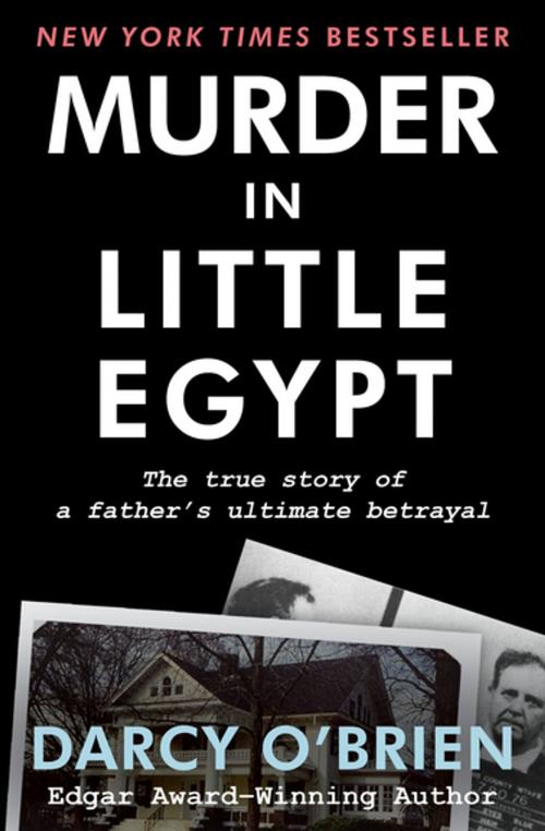 Cover of the book Murder in Little Egypt by Darcy O'Brien, Open Road Media