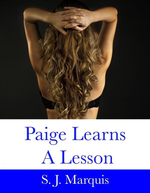 Cover of the book Paige Learns a Lesson by S. J. Marquis, S. J. Marquis