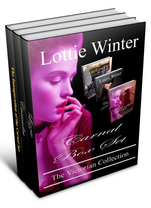 Cover of the book Carnal Box Set by Lottie Winter, Secret Seduction Press