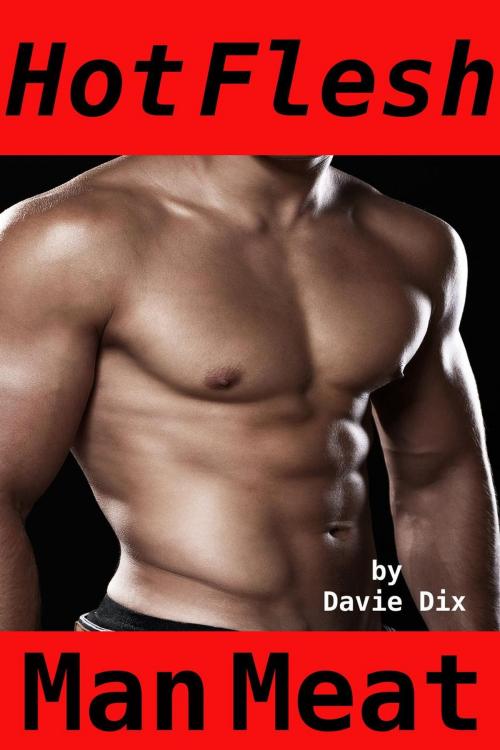 Cover of the book Hot Flesh, Man Meat (Gay Erotica) by Davie Dix, Tales of Flesh Press