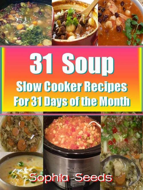 Cover of the book 31 Soup Slow Cooker Recipes - For 31 Days of the Month by Sophia Seeds, RR Publishing LLC