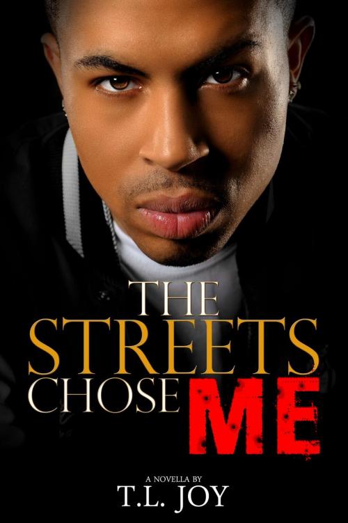 Cover of the book The Streets Chose Me by T.L. Joy, Mahogany Publications