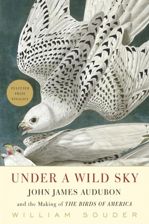 Cover of the book Under a Wild Sky by William Souder, Milkweed Editions