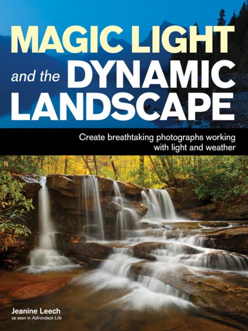 Cover of the book Magic Light and the Dynamic Landscape by Jeanine Leech, Amherst Media