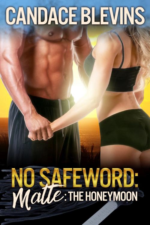 Cover of the book No Safeword: Matte - The Honeymoon by Candace Blevins, Excessica