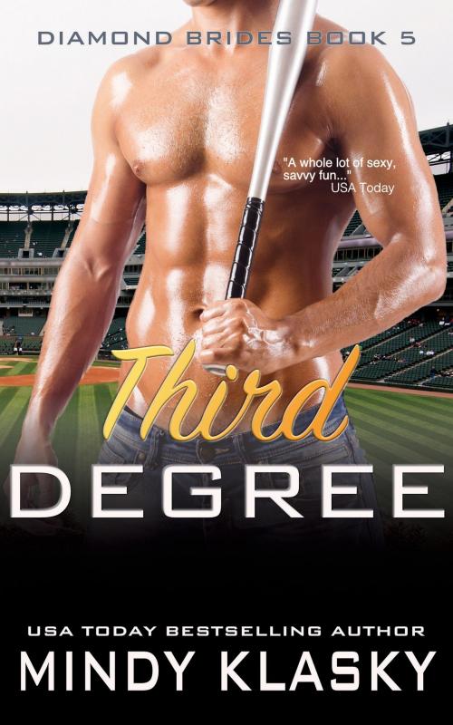 Cover of the book Third Degree by Mindy Klasky, Book View Cafe