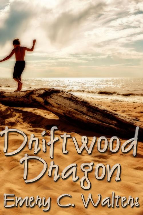 Cover of the book Driftwood Dragon by Emery C. Walters, Queerteen Press