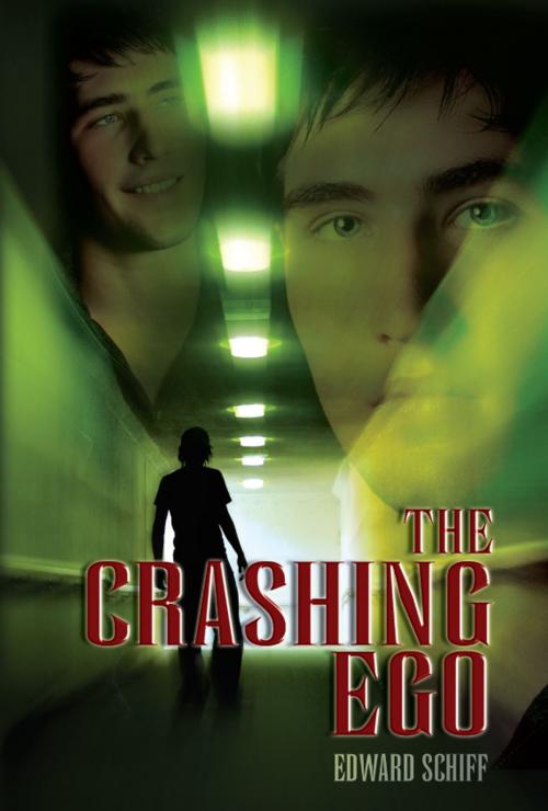 Cover of the book The Crashing Ego by Edward Schiff, Eloquent Books
