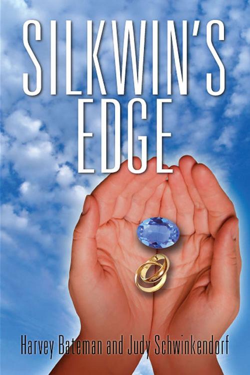 Cover of the book Silkwin's Edge by Harvey│Schwinkendorf Bateman, Strategic Book Group
