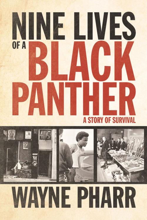Cover of the book Nine Lives of a Black Panther by Wayne Pharr, Chicago Review Press