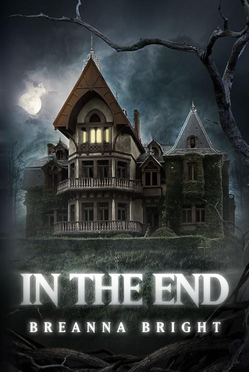 Cover of the book In the End by Breanna Bright, Permuted Press