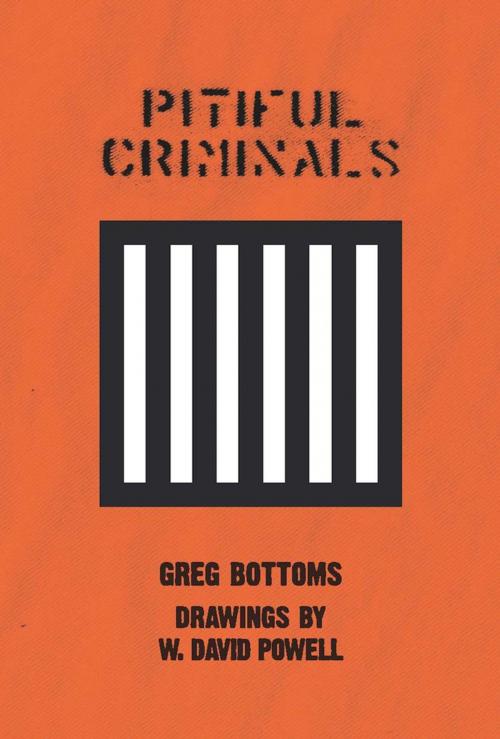 Cover of the book Pitiful Criminals by Greg Bottoms, Counterpoint