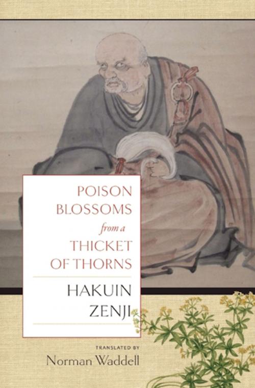 Cover of the book Poison Blossoms from a Thicket of Thorns by Hakuin Zenji, Counterpoint Press