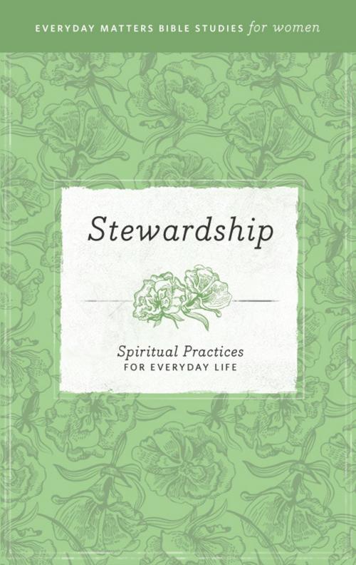 Cover of the book Everyday Matters Bible Studies for Women—Stewardship by Hendrickson Publishers, Hendrickson Publishers