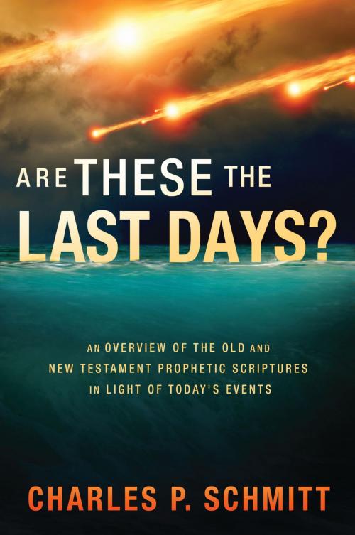 Cover of the book Are These the Last Days? by Charles Schmitt, Charisma House