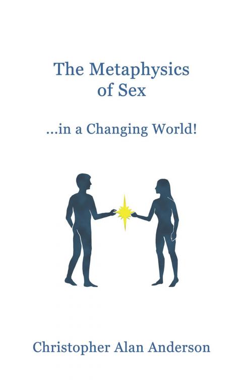 Cover of the book The Metaphysics of Sex ...in a Changing World! by Christopher Alan Anderson, First Edition Design Publishing