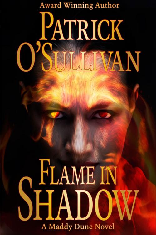Cover of the book Flame in Shadow by Patrick O'Sullivan, Dunkerron Press