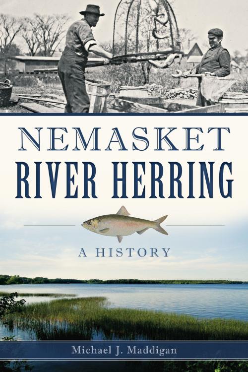 Cover of the book Nemasket River Herring by Michael J. Maddigan, Arcadia Publishing Inc.