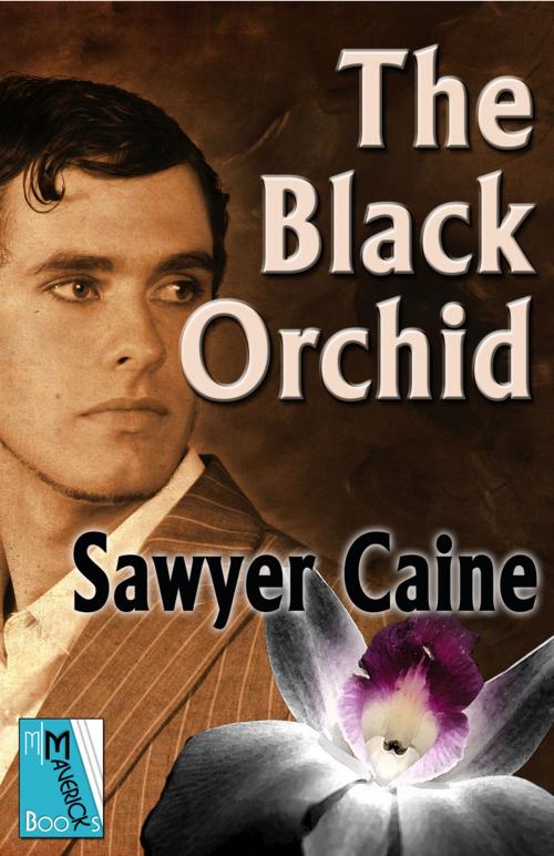 Cover of the book The Black Orchid by Sawyer Caine, Bold Strokes Books, Inc.