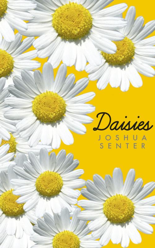 Cover of the book Daisies by Joshua Senter, Diversion Books